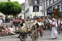 IMG_6509 (2) 